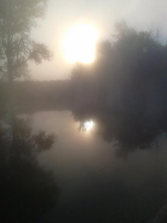 Синичине з panoramio.com - Синичине