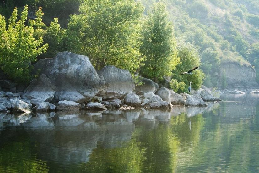 Кормань з panoramio.com - Кормань
