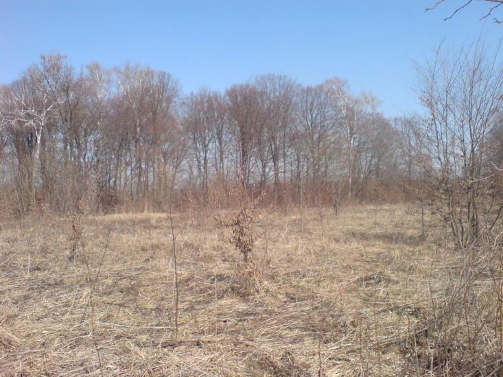 Нестерівці з panoramio.com - Нестерівці