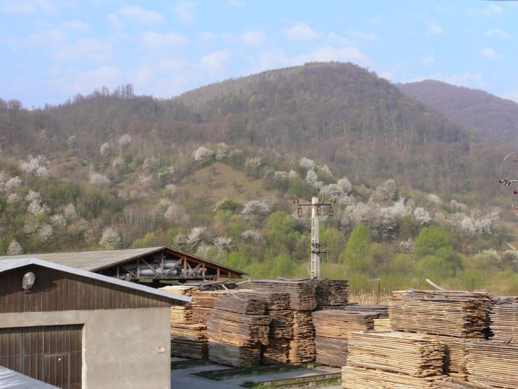 Тячів з panoramio.com - Тячев