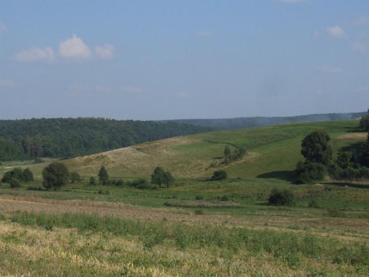 Нараїв з panoramio.com - Нараїв