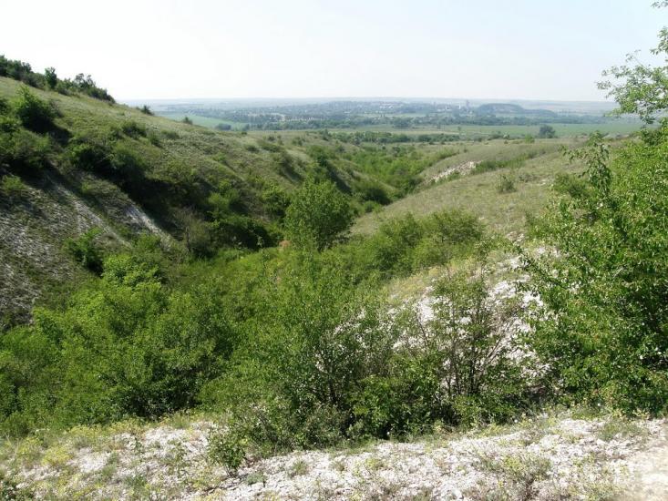 Біле з panoramio.com - Белое