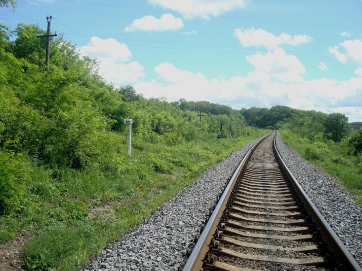 Жищинці з panoramio.com - Жищинці