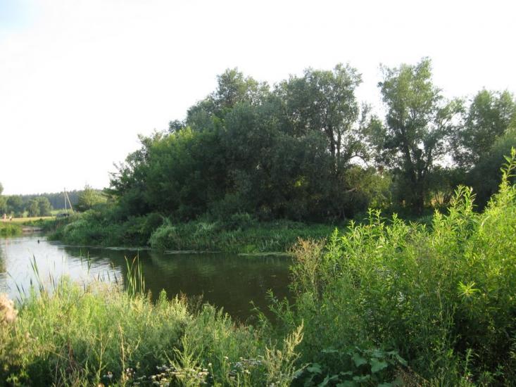 Рокитне з panoramio.com - Ракитное