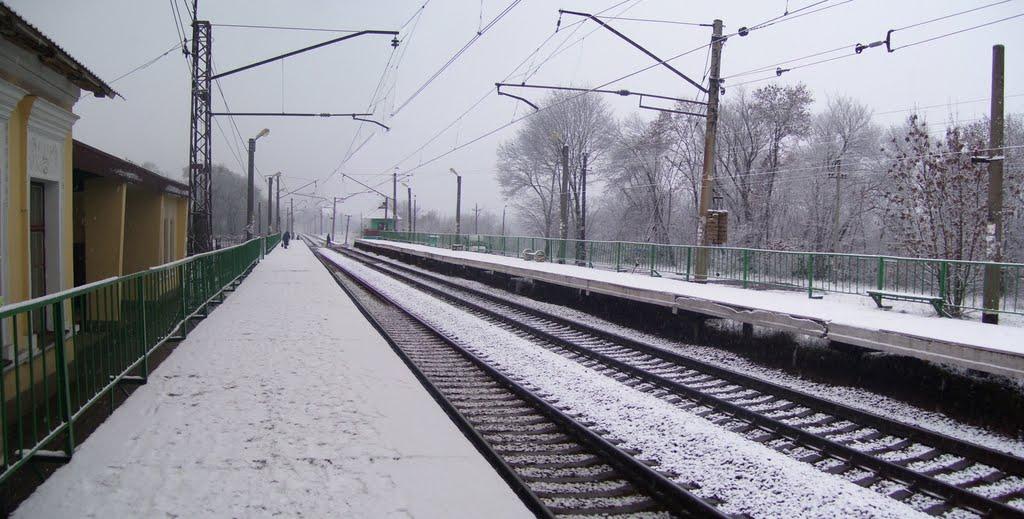 Високий з panoramio.com - Высокий