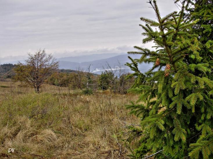 Руський Мочар з panoramio.com - Русский Мочар