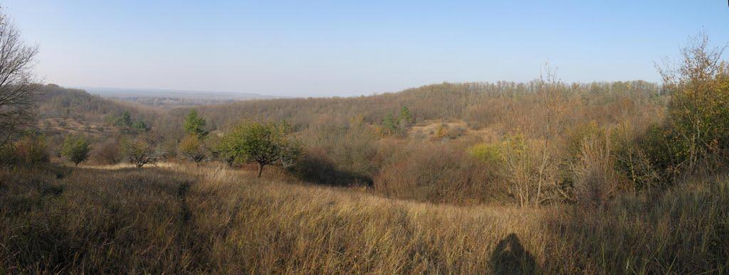 Івангород з panoramio.com - Ивангород