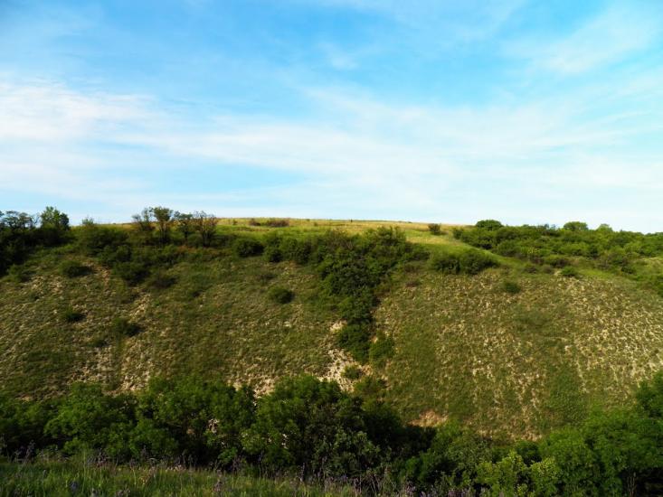 Біле з panoramio.com - Bile