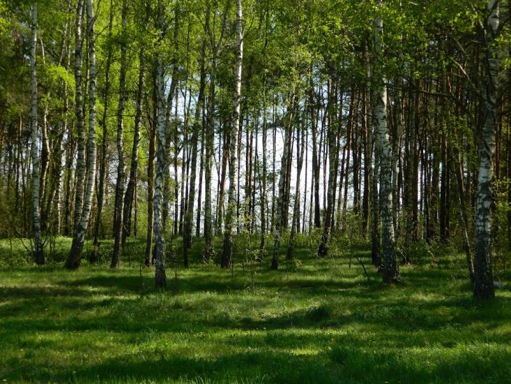 Обірки з panoramio.com - Обирки