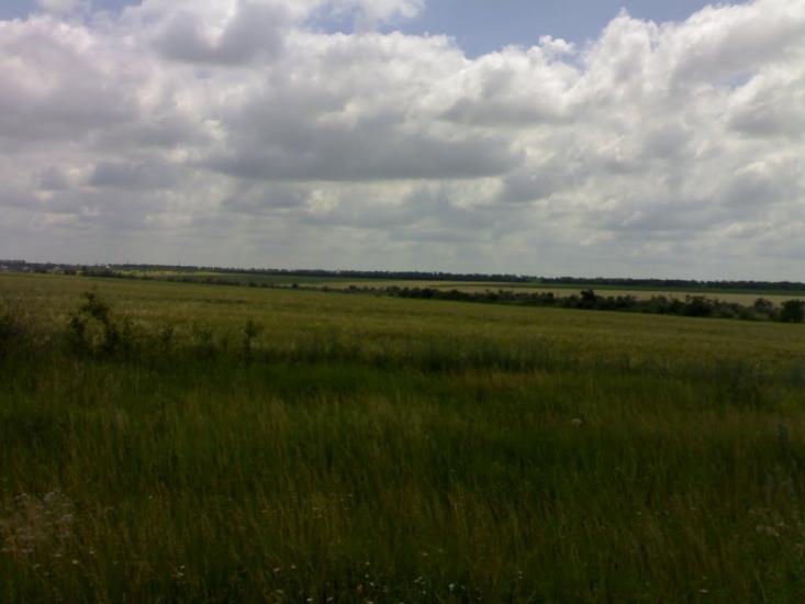 Ленінське Перше з panoramio.com - Ленінське Перше