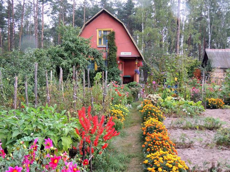 Деревини з panoramio.com - Деревины