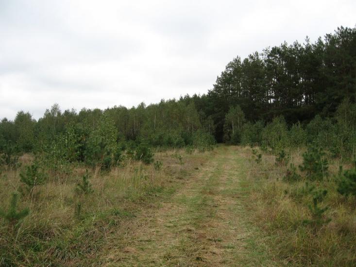Кропивня з panoramio.com - Kropyvnya