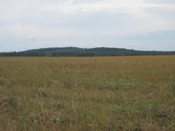 Галузинці з panoramio.com - Galuzyntsi