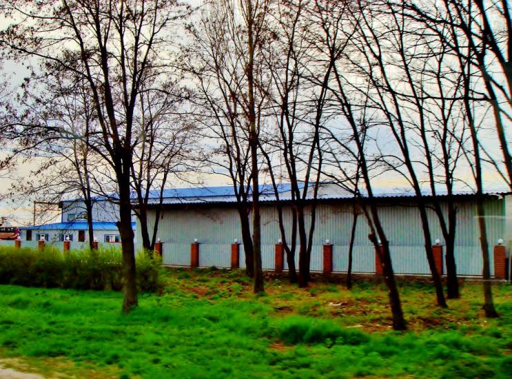 Пінчуки з panoramio.com - Пінчуки