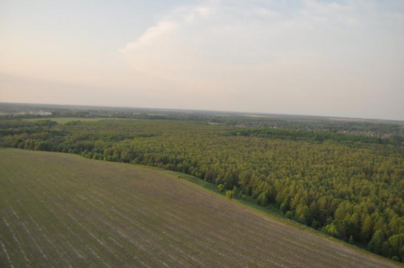 Ряшки з panoramio.com - Ряшки