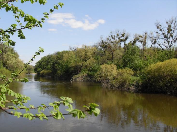 Підлісне з panoramio.com - Pidlisne
