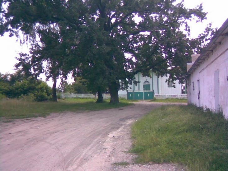 Ружин з panoramio.com - Ружин