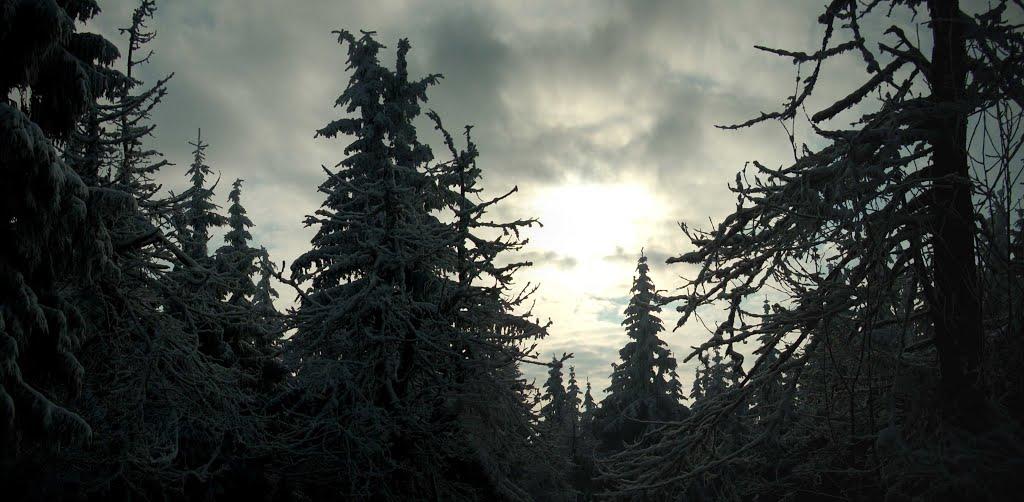 Тухолька з panoramio.com - Тухолька