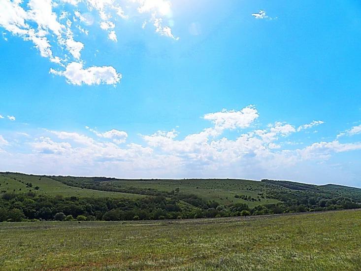 Данилове з panoramio.com - Danylove