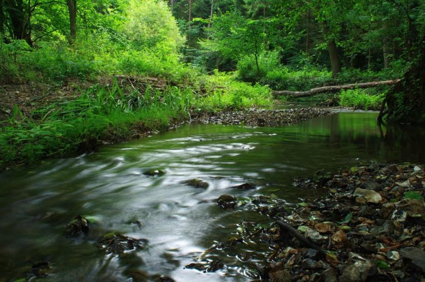 Браїлівка з panoramio.com - Брайловка