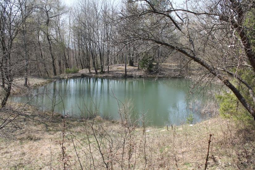 Бегендяцька Пастіль з panoramio.com - Бегендяцька Пастіль