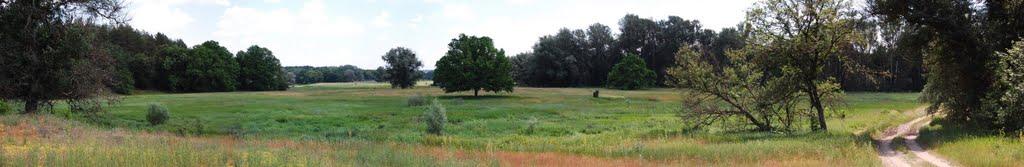 Норцівка з panoramio.com - Норцовка