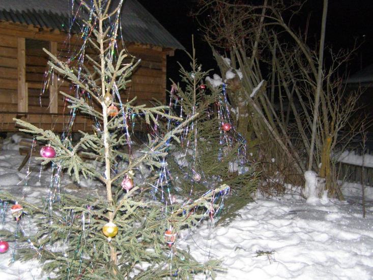Вишків з panoramio.com - Вышков