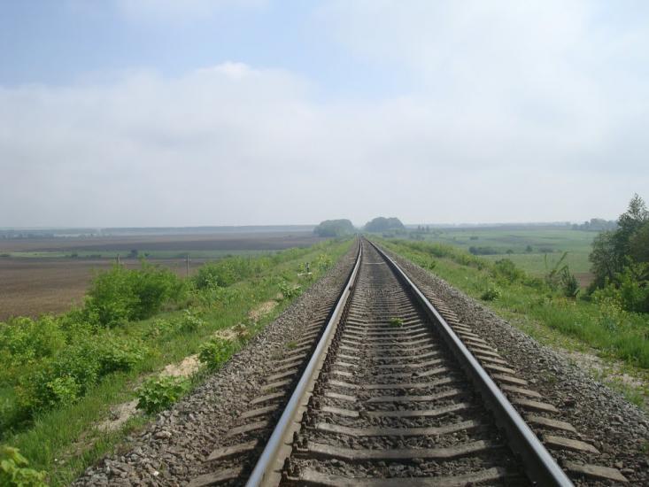 Нестерівці з panoramio.com - Нестеровцы