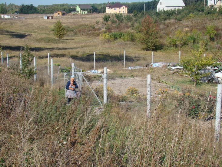 Музичі з panoramio.com - Музичі