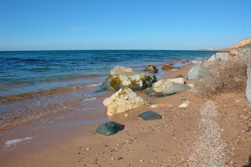 Берегове з panoramio.com - Берегово