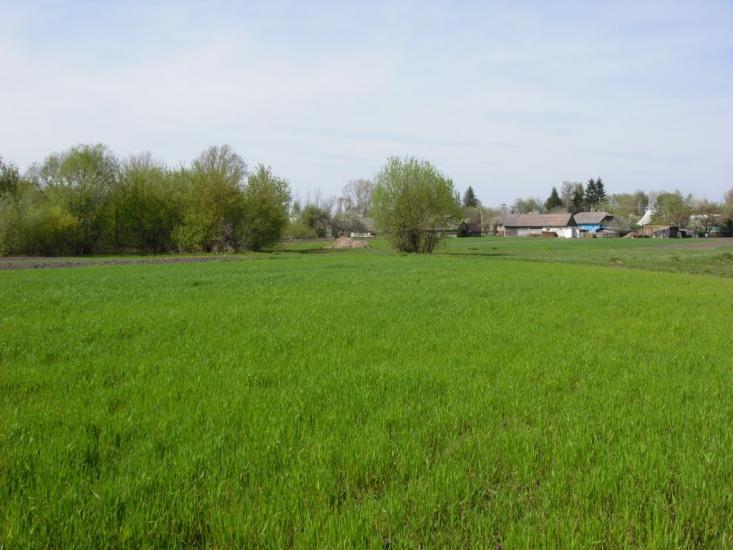 Чмикос з panoramio.com - Чмыкос
