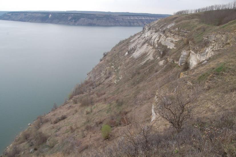 Кормань з panoramio.com - Кормань