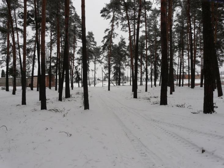 Ічня з panoramio.com - Ичня
