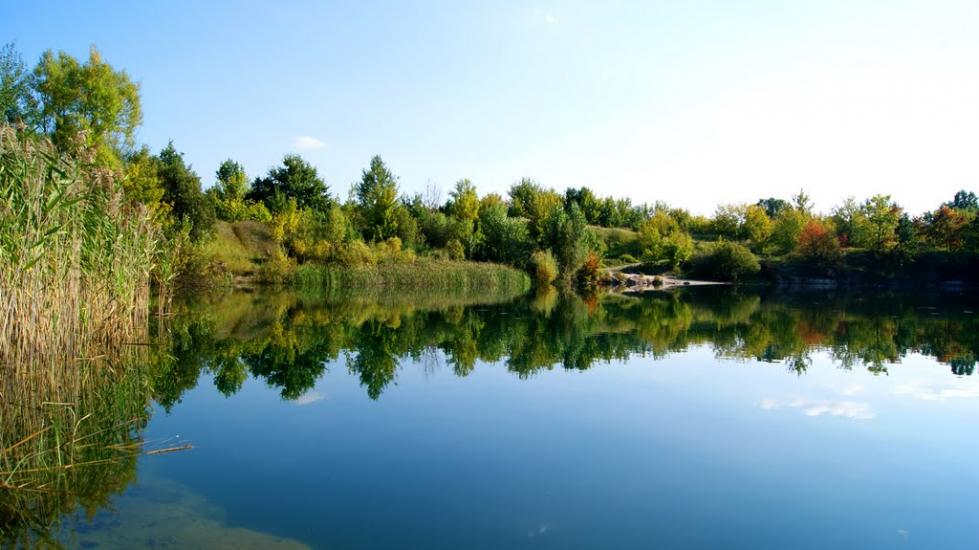 Візня з panoramio.com - Viznya