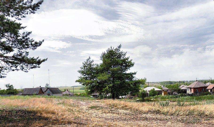 Вільхуватка з panoramio.com - Вільхуватка