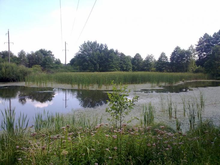 Яворів з panoramio.com - Яворов