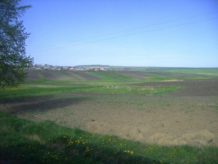 Балківці з panoramio.com - Балківці