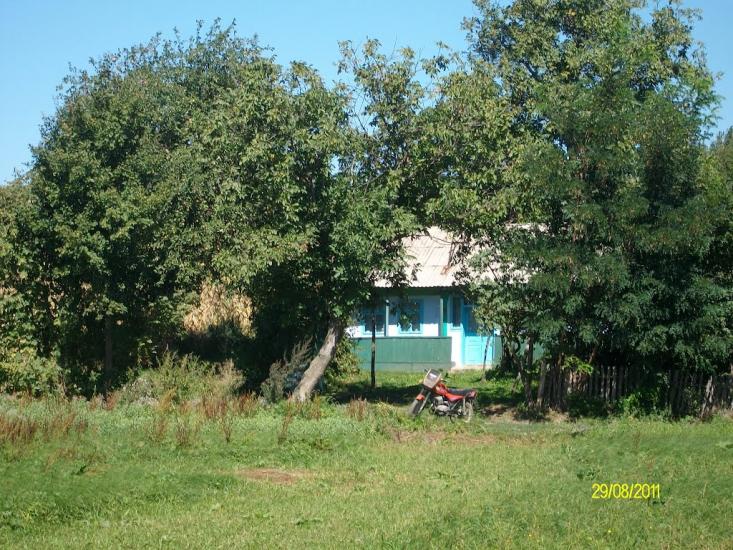 Тарасівці з panoramio.com - Тарасовцы