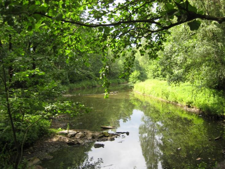 Івниця з panoramio.com - Ивница