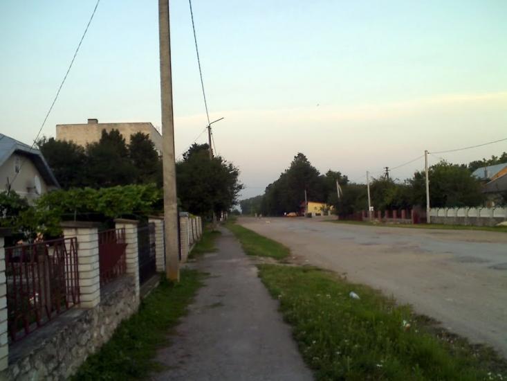 Великі Бірки з panoramio.com - Великие Борки