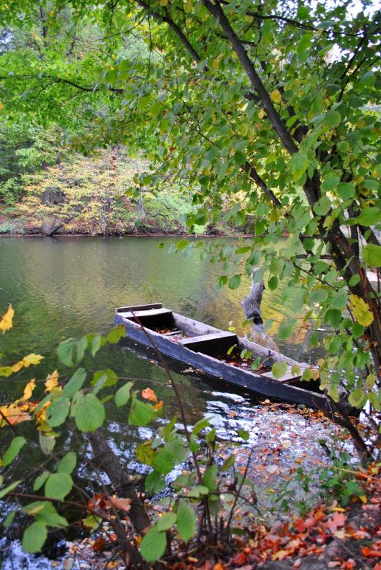 Тростянець з panoramio.com - Тростянец