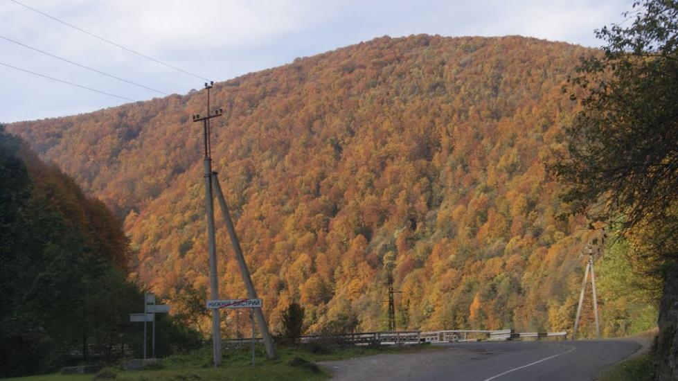 Нижній Бистрий з panoramio.com - Nyzhniy Bystryy