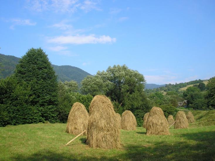Кваси з panoramio.com - Квасы