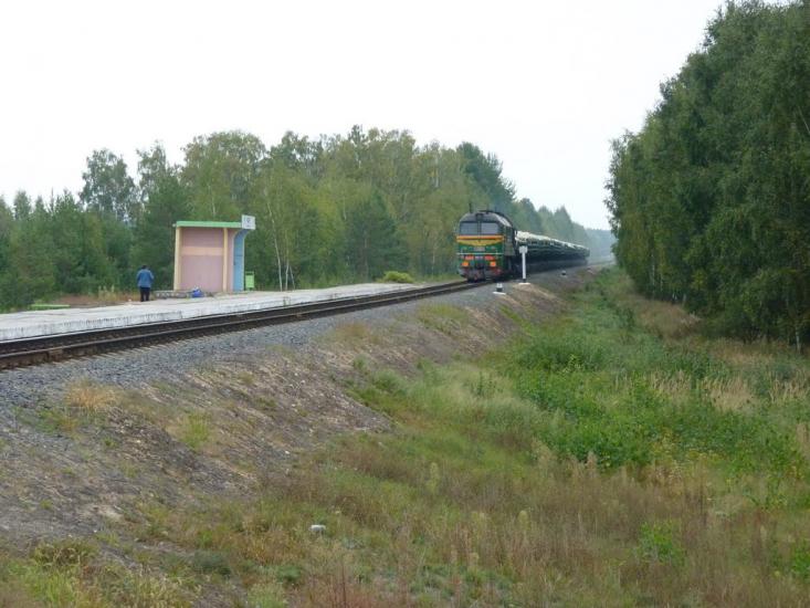 Деревини з panoramio.com - Деревины
