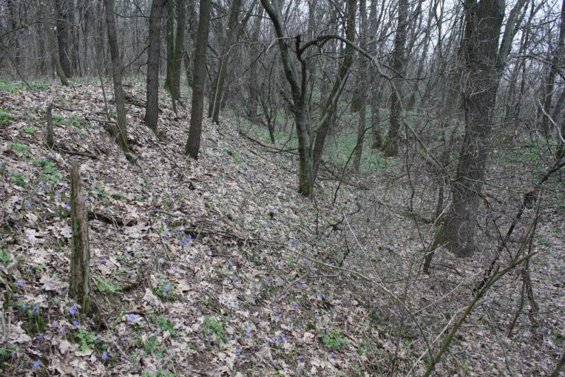 Лящівка з panoramio.com - Lyaschivka