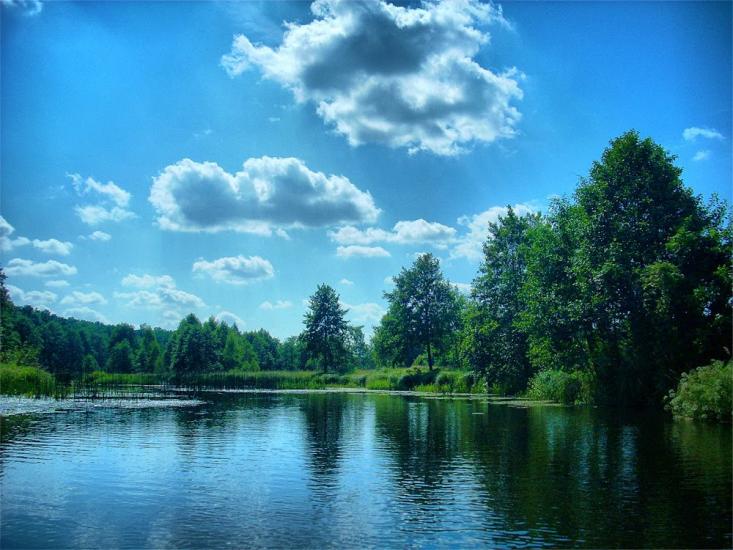 Березневе з panoramio.com - Березневе