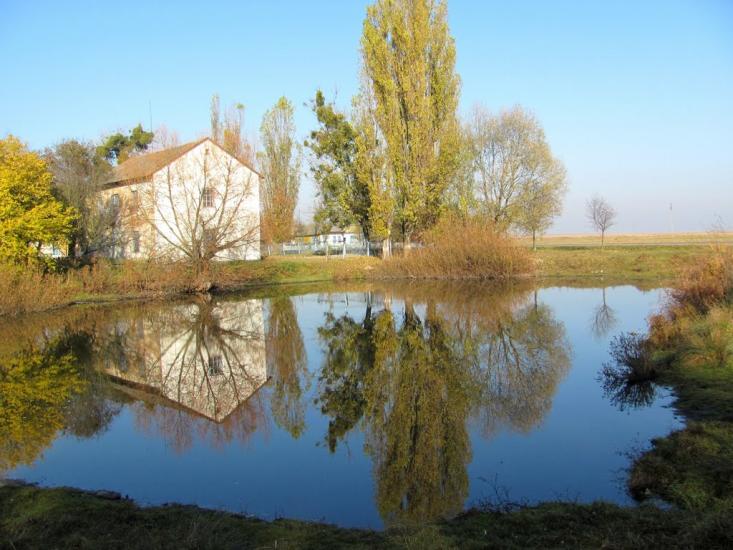 Голоби з panoramio.com - Голобы