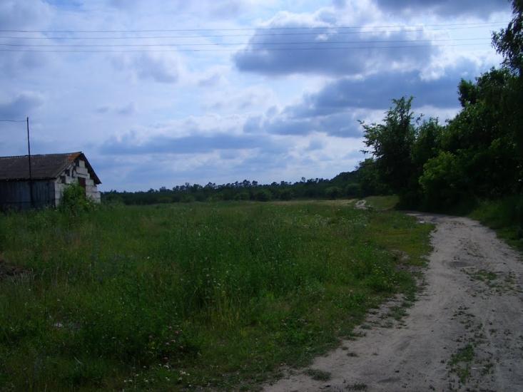 Алтинівка з panoramio.com - Altynivka