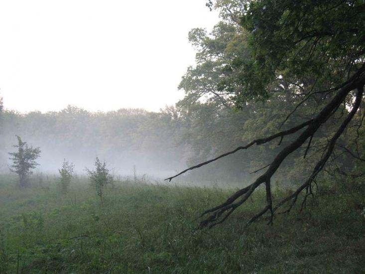 Синичине з panoramio.com - Synychyne