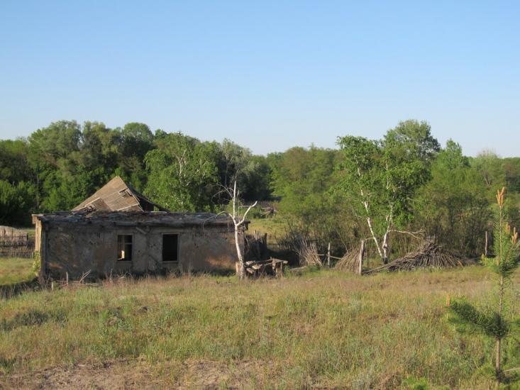 Норцівка з panoramio.com - Норцовка